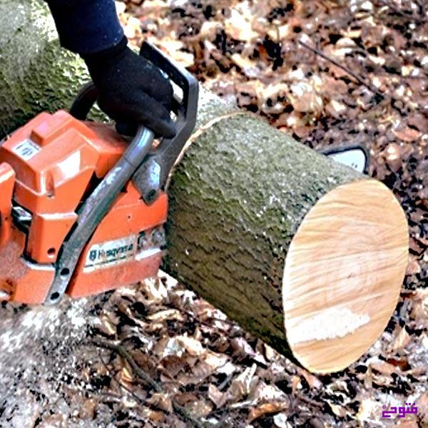 پاکسازی زمین برای ساخت و ساز