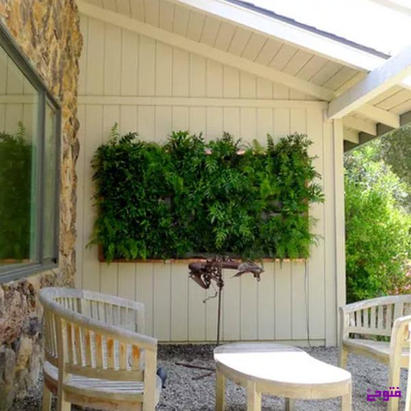 دیزایین دیوار حیاط