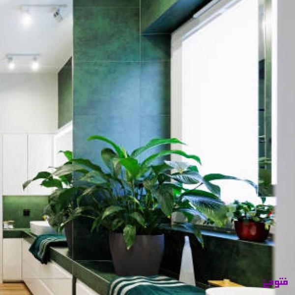 کاشی طرح طبیعی