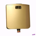 فلاش تانک دو زمانه کاسپین زیتونی (طلا مات)